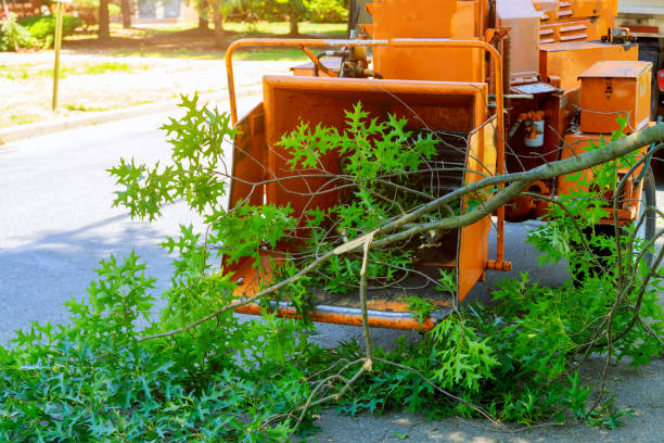  Lake Monticello, VA Tree Services Pros