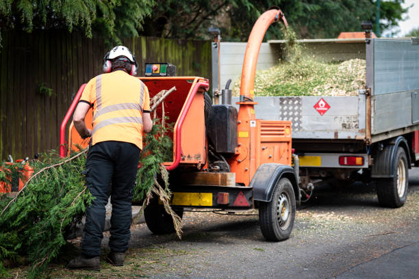 Trusted Lake Monticello, VA Tree Services Experts