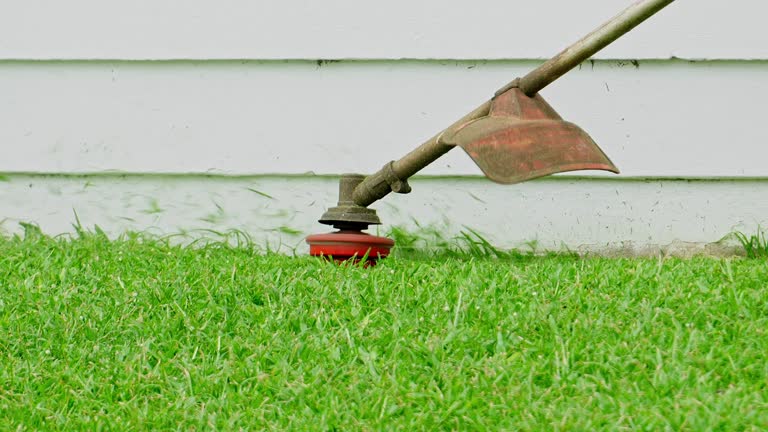 Lawn Irrigation Installation and Maintenance in Lake Monticello, VA