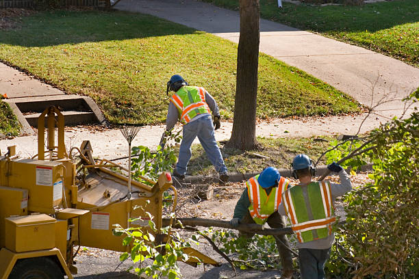 Best Emergency Tree Removal  in Lake Monticello, VA