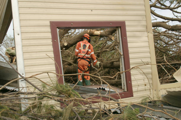 Best Storm Damage Tree Cleanup  in Lake Monticello, VA
