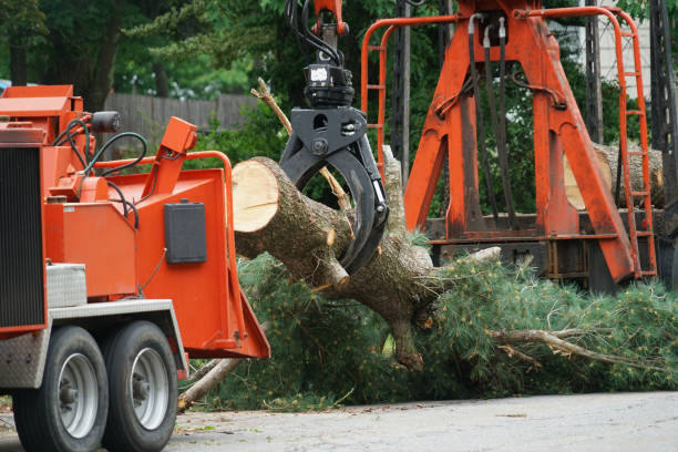 Best Lawn Drainage Solutions  in Lake Monticello, VA